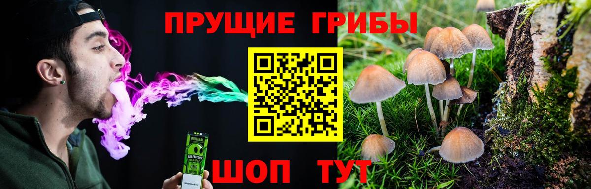 Псилоцибиновые грибы мицелий  Вход с VPN  Ртищево  Псилоцибиновые грибы MAGIC MUSHROOMS 
